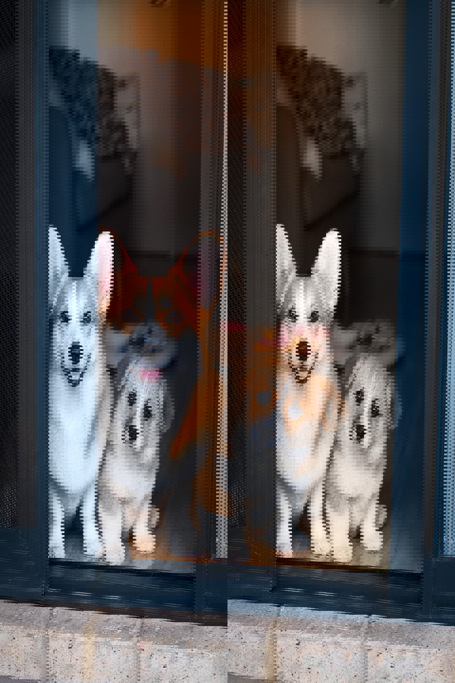 Background image - Ivana La Xf2qxvbprmc Unsplash