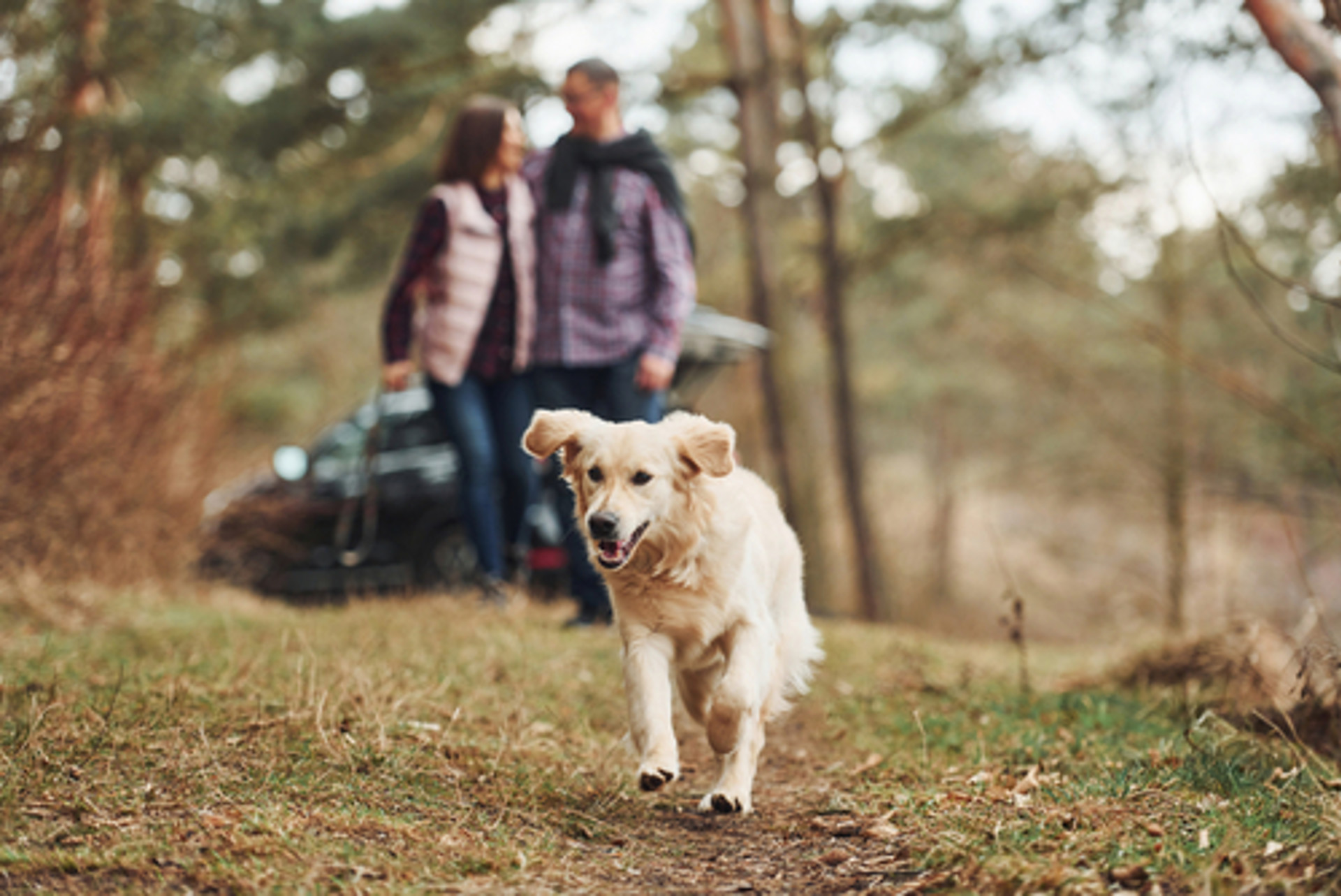 Background image - Saver Plus 3