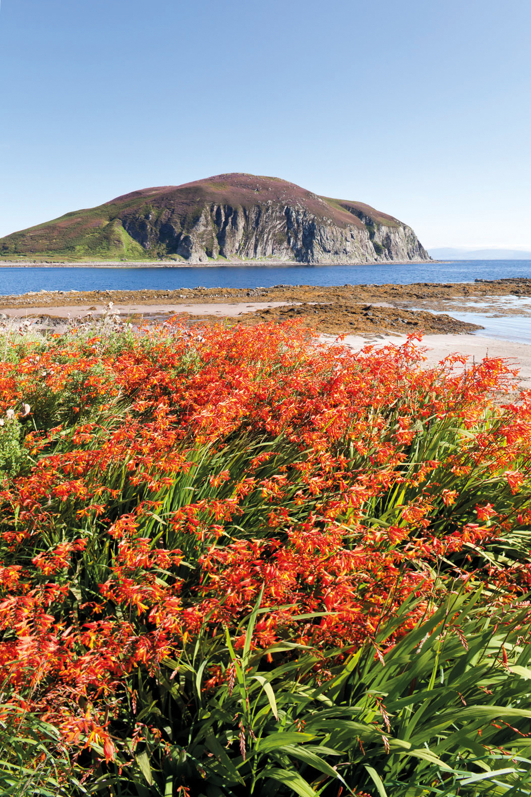 Background image - BX7N78