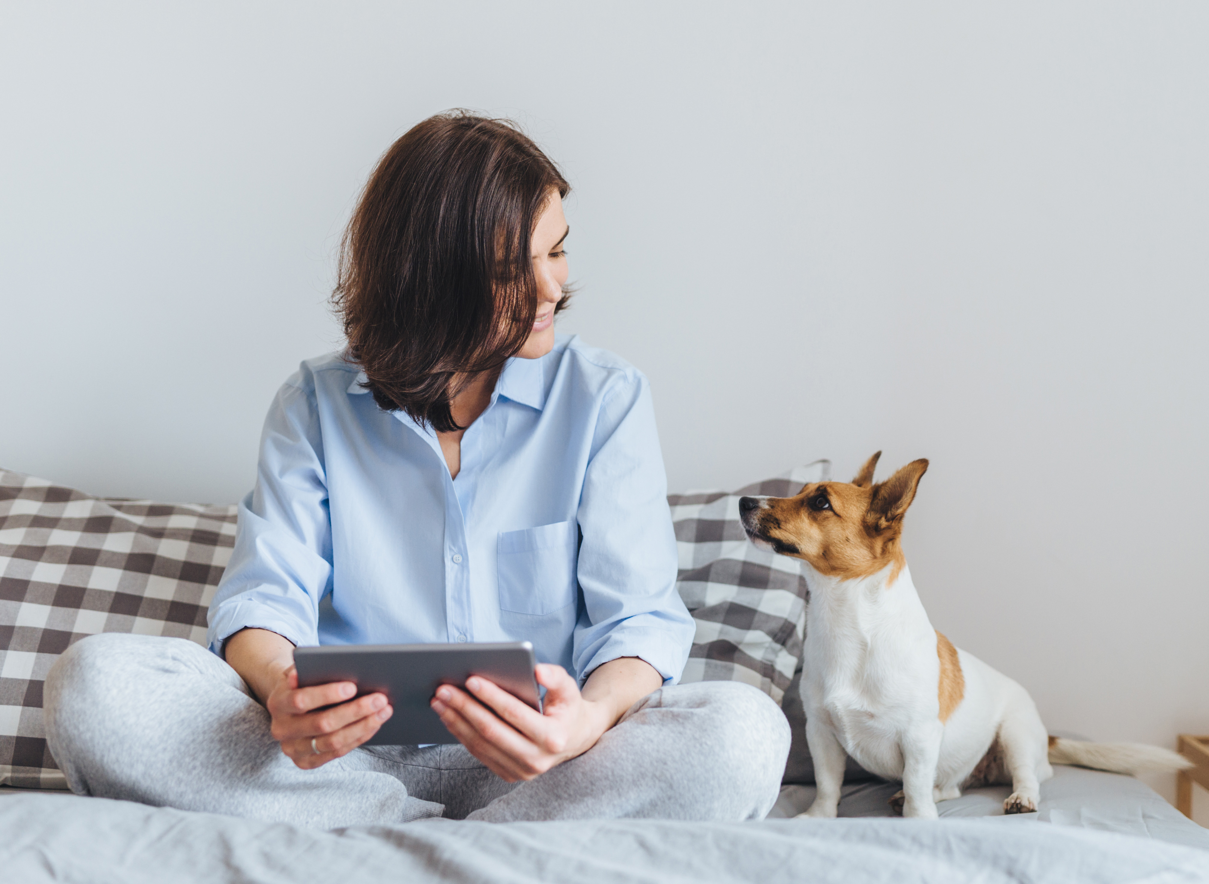 Background image - Shutterstock 768388570 Cropped