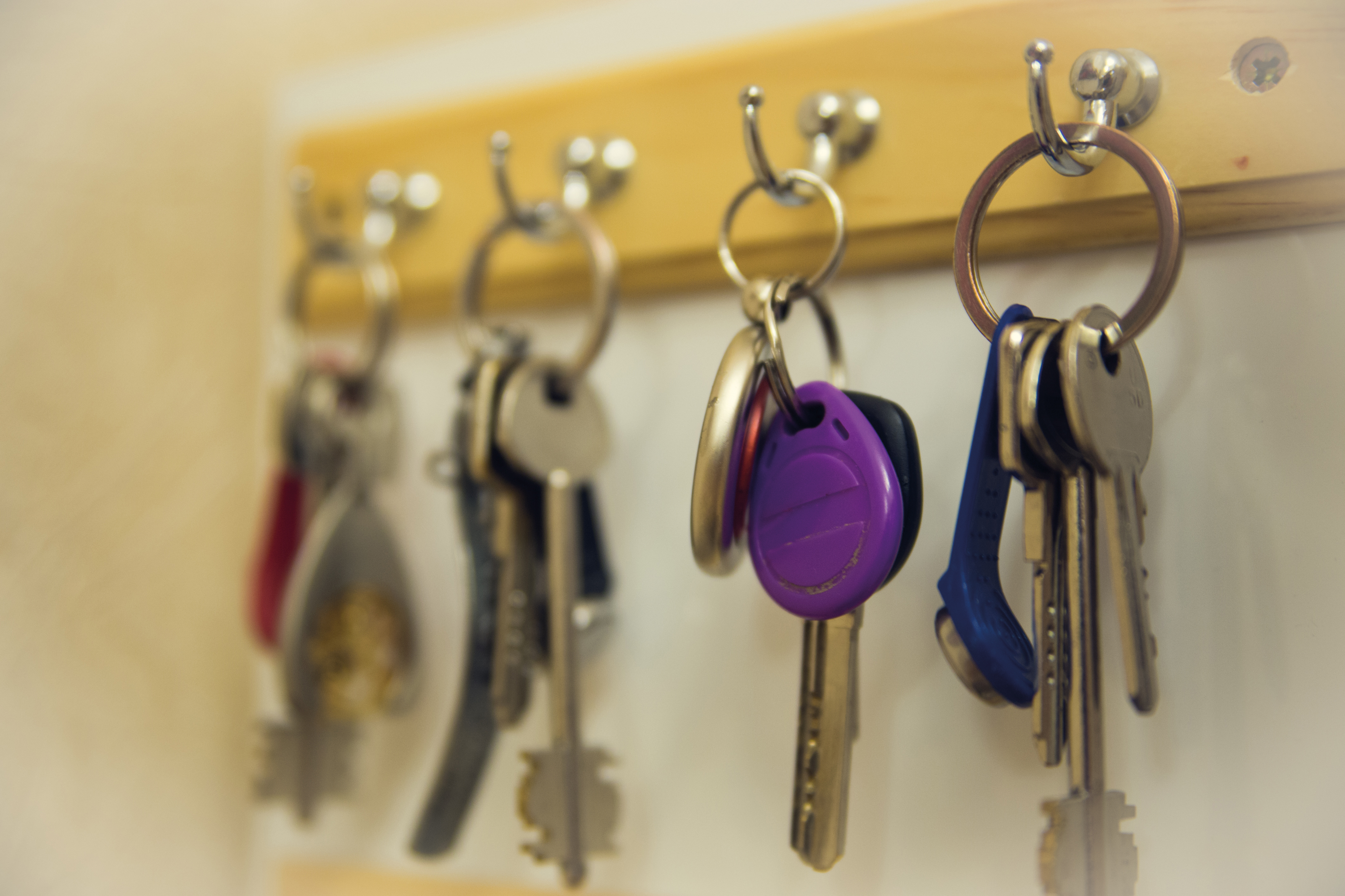 Background image - Shutterstock 441523678