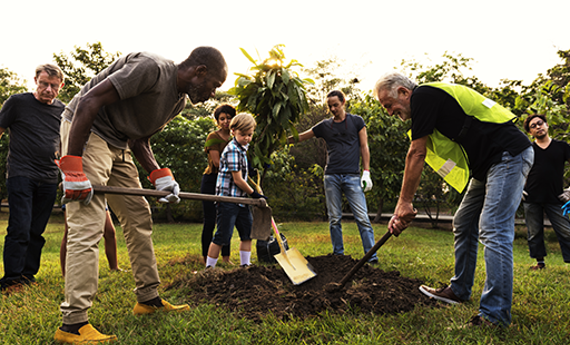 Background image - Image2